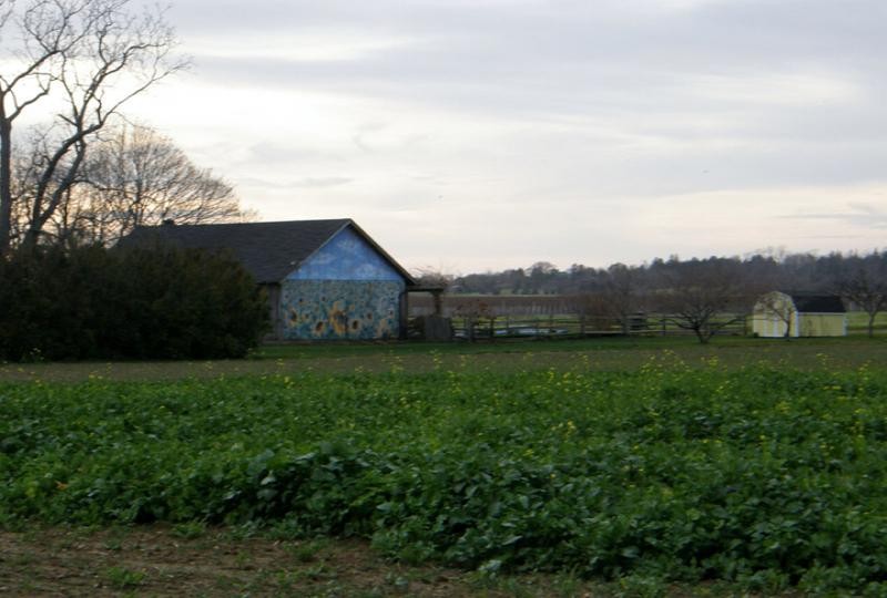 Mattituck Farm